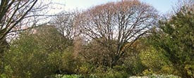 West Sussex West Sussex